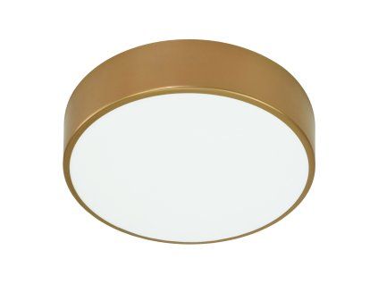 Stropné LED svietidlo O-AD-PL-6290CLSM4